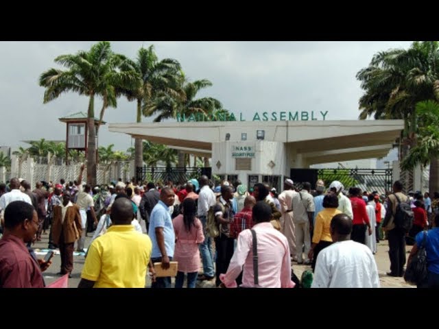 Protesters Storm NASS, Halt Plenary