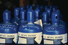 NAFDAC Bans Methyl Bromide as a Fumigant for Pests