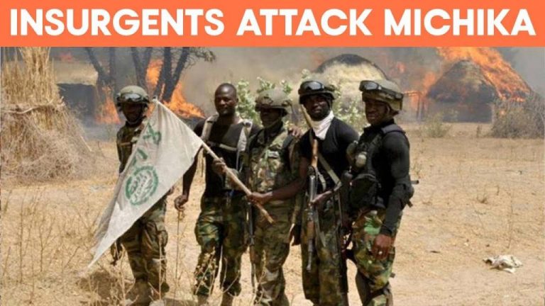 Insurgents Attack Michika