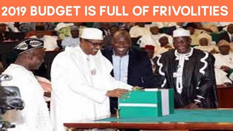 CSO Faults Composition of 2019 Budget, Cites Excess Frivolities