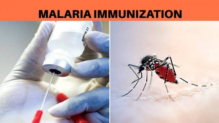 Malaria immunisation pilot begins