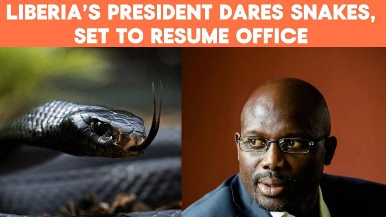 President George Weah Set To Resume Office, After Snakes Scare