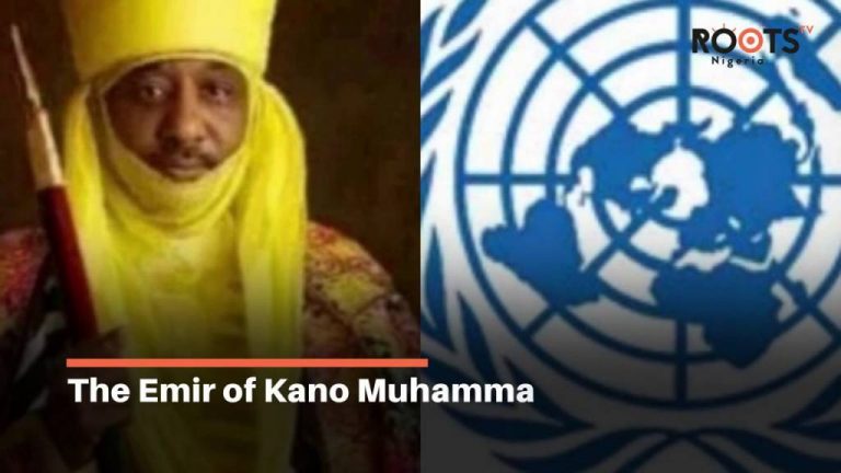 Emir of Kano get UN appointment