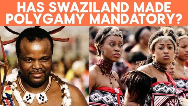 Swazi King In Twitter Storm Over Five Wives ‘declaration’