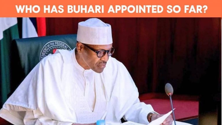 Buhari’s Political Appointments So Far, 20 Days In Office