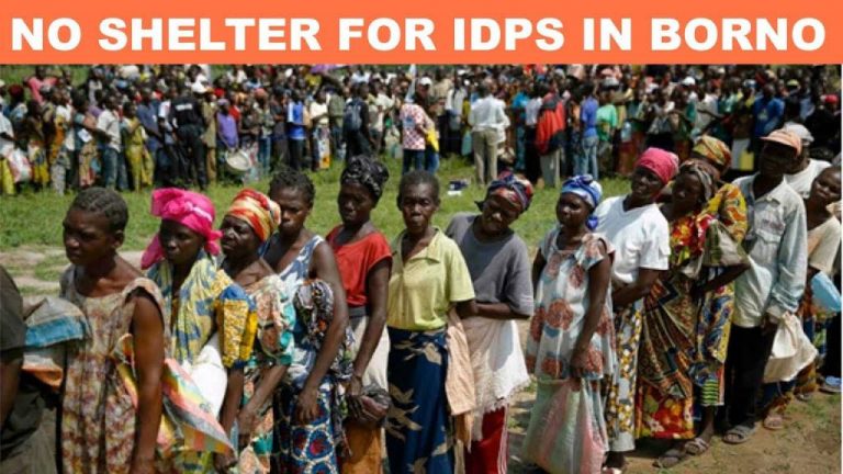 45,000 IDPs Sleep Outside in Borno