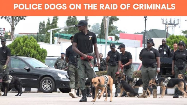 Police Deploy Dogs To Railway Stations Across Nigeria