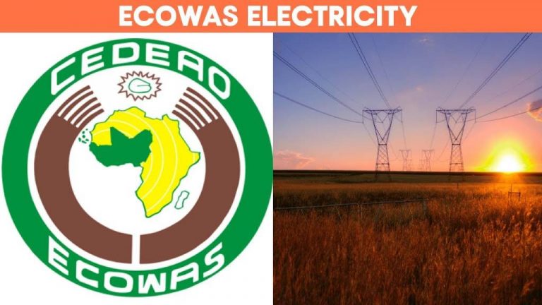 ECOWAS to Sell Electricity to Member States