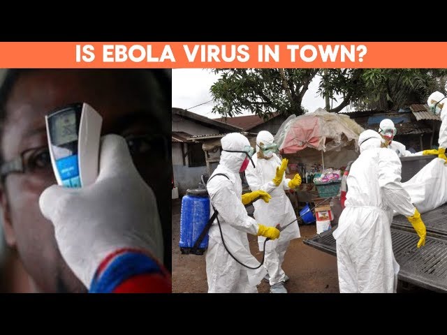 Ebola: Nigerian Govt Orders Ports Officials to Heighten Surveillance