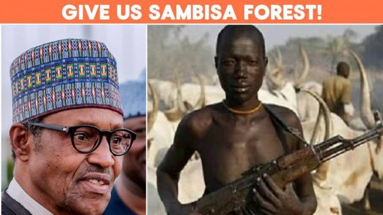 Herdsmen Request for Sambisa Forest, as top Nigerian Voices Contribute to Debate RUGA