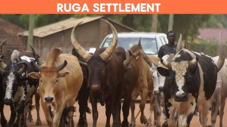 FG Proposes Ruga In All 36 States