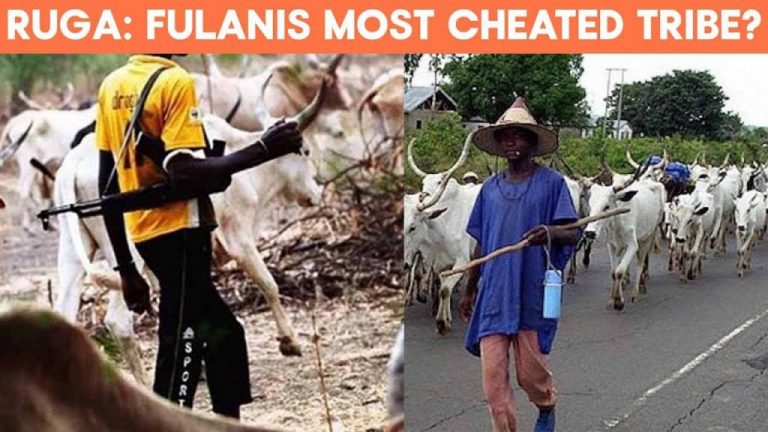 RUGA: Fulanis Are The Most Cheated, Neglected tribe – Gabam