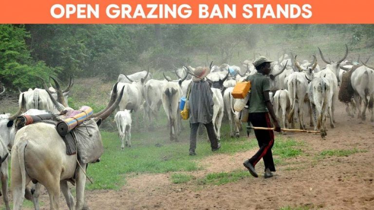 Court Rejects Miyetti Allah Suit to Reverse Anti Grazing Law