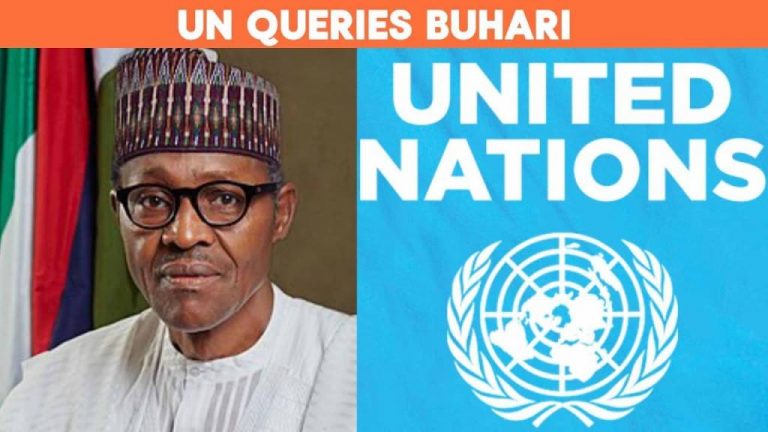 UN Queries Buhari Govt On Killings In Nigeria, Corruption, Others