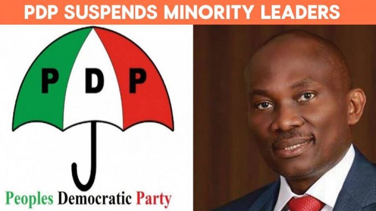 PDP NWC Suspends Reps Minority Leader, Elumelu, Six Others