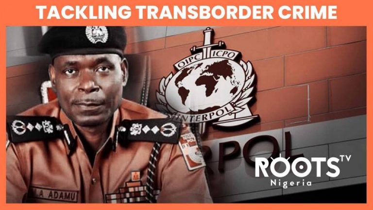 Federal Government Aims to Tackle Transnational Crime Through Collaboration