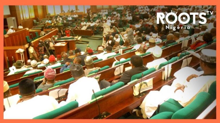 Reps Tell Govt To Release N10Bn To Zamfara Over Banditry