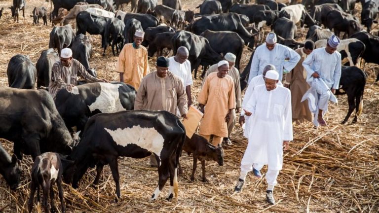 Hunger: Buhari orders setting up of 108 farm estates