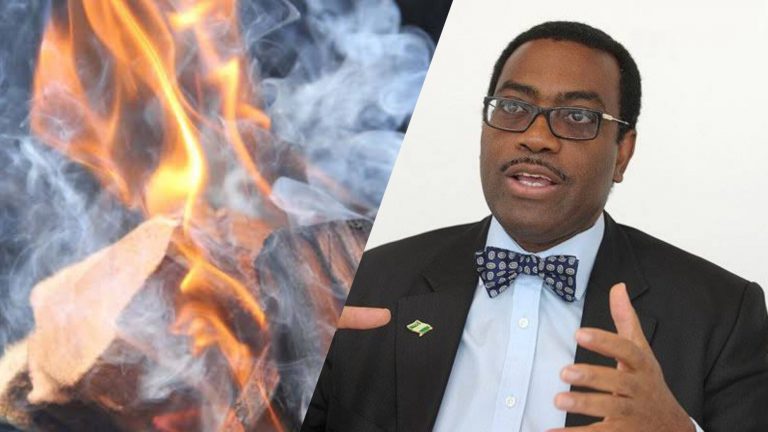 Africa loses 300,000 women, children to firewood smoke yearly – Adesina