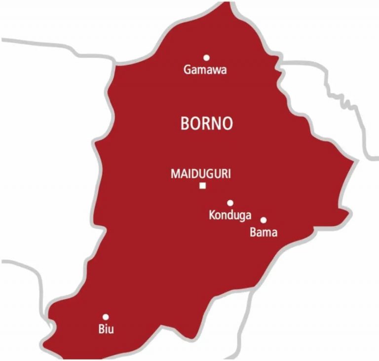 MSF expresses worry over increasing cases of Measles in Borno