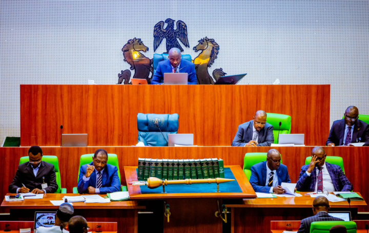 Reps Passes Bill for Mining Development Bank